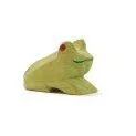 Ostheimer frog sitting