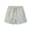 Duke Stripe Peppermint swim shorts - Crisp white - Sustainable baby fashion made from high quality materials | Stadtlandkind