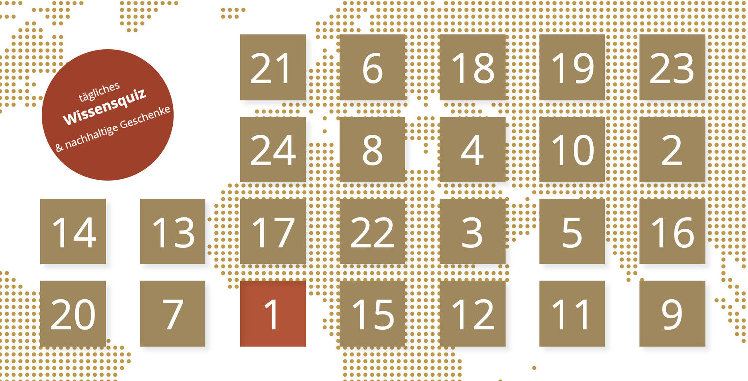 Adventskalender Nachhaltige Entwicklung 2020