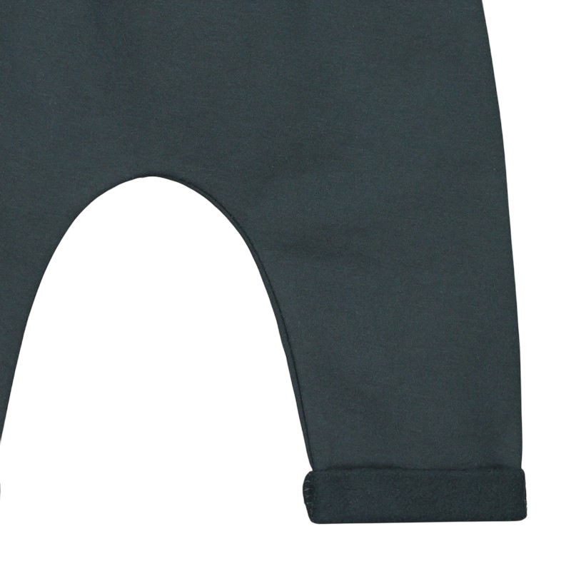 Pantalon bébé bleu gris