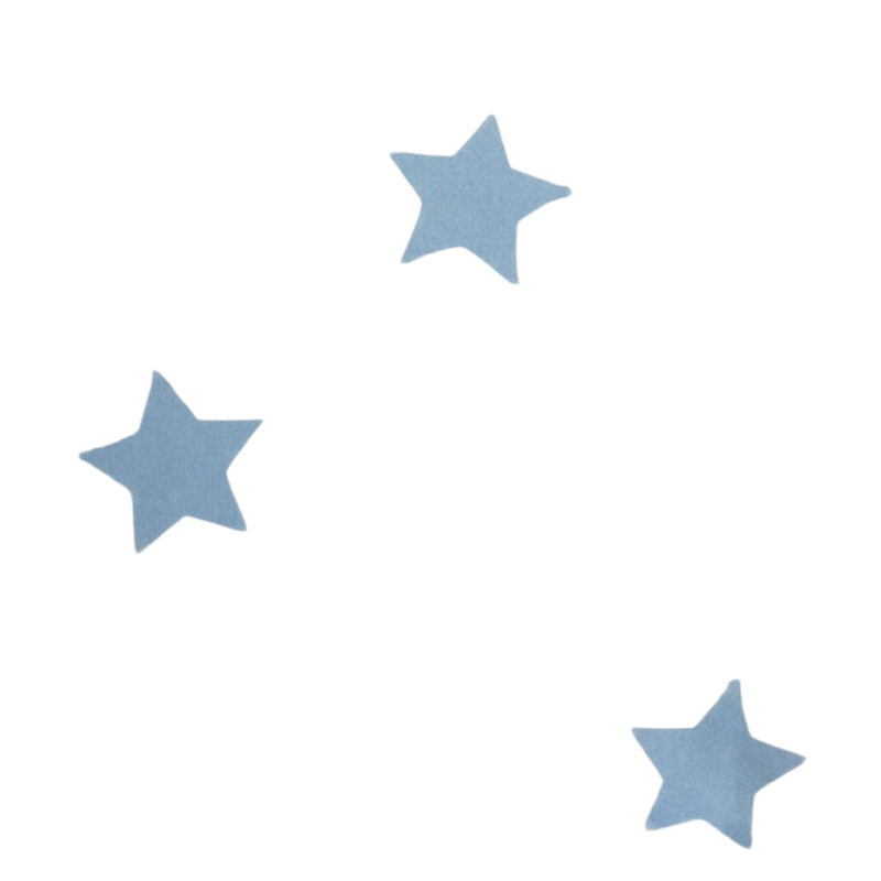 Millet cushion 30 x 40 Blue