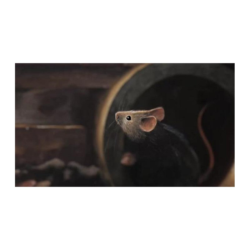 Lindbergh: Die Abenteuerliche Geschichte einer fliegenden Maus (Nordsued)