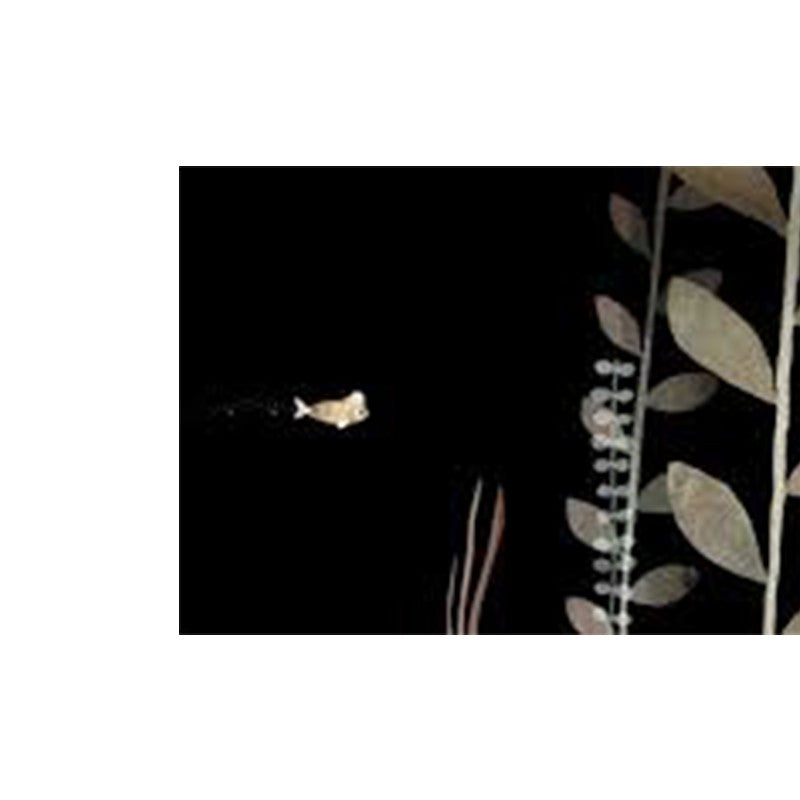 Ce n'est pas mon chapeau, Jon Klassen (Nordsued)