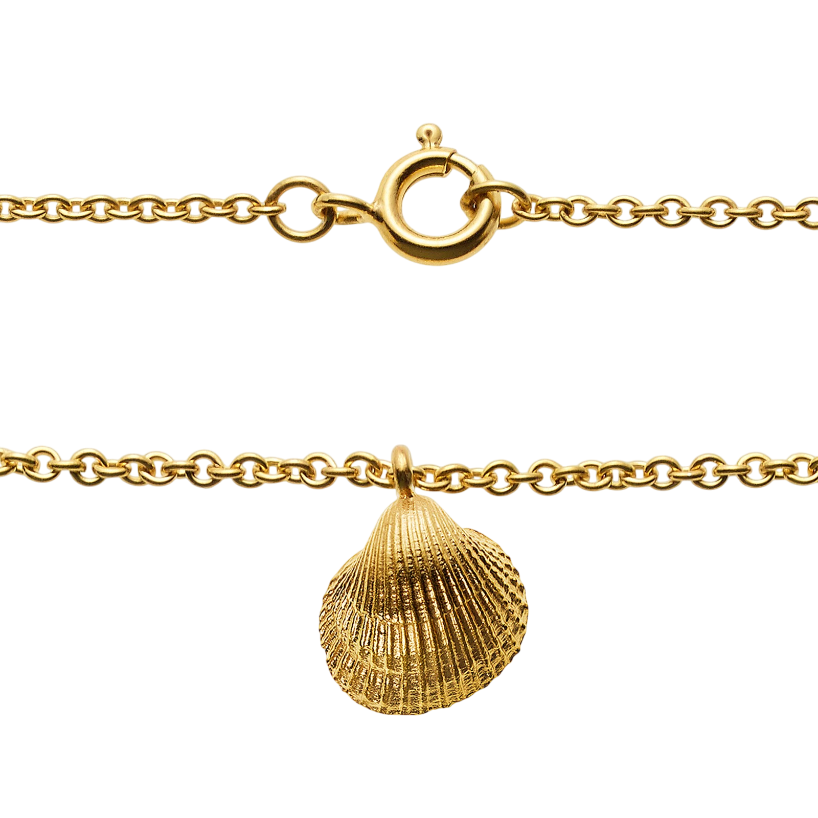 Collier avec 8 pierres de cornaline et pendentif coquillage, doré