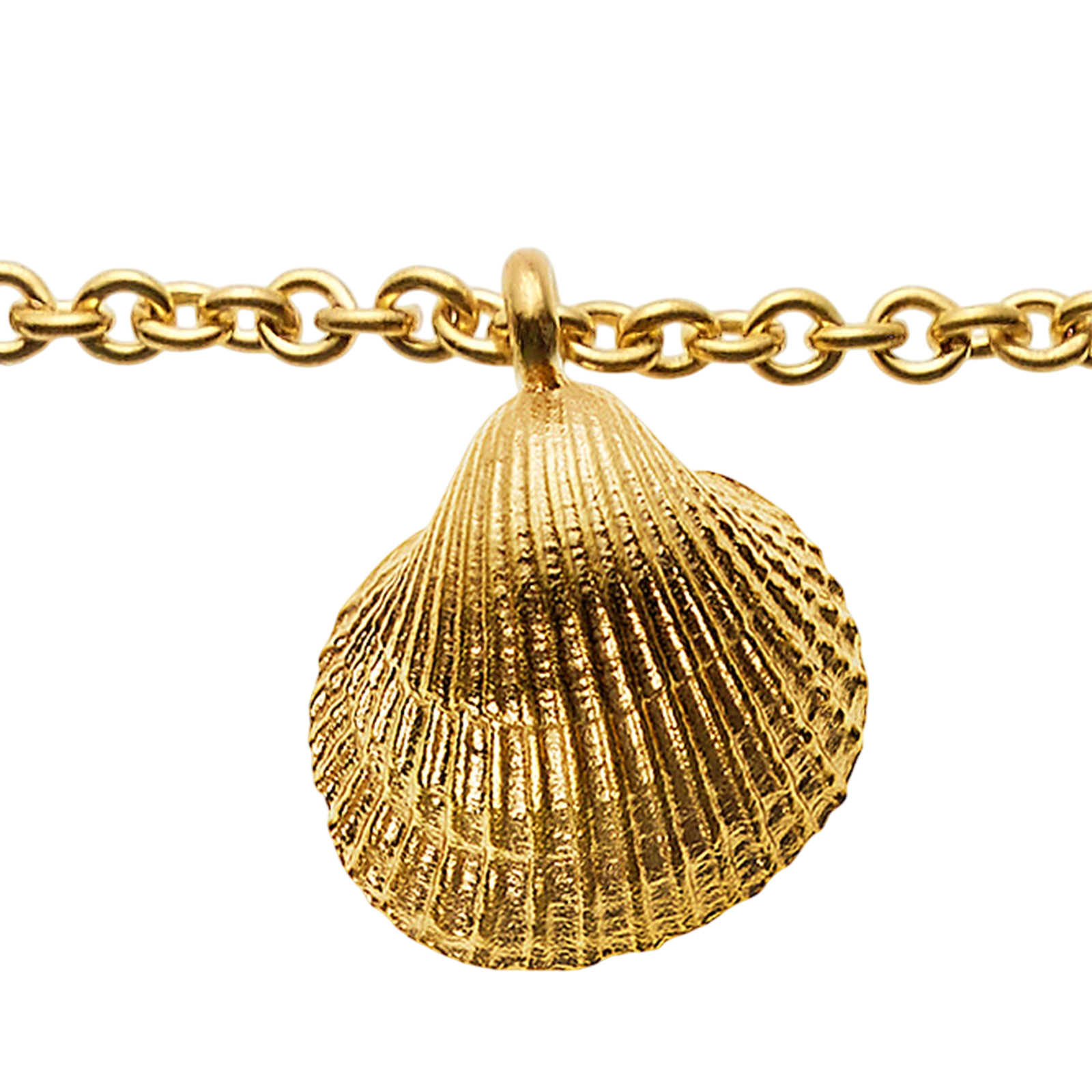 Collier avec 8 pierres de cornaline et pendentif coquillage, doré