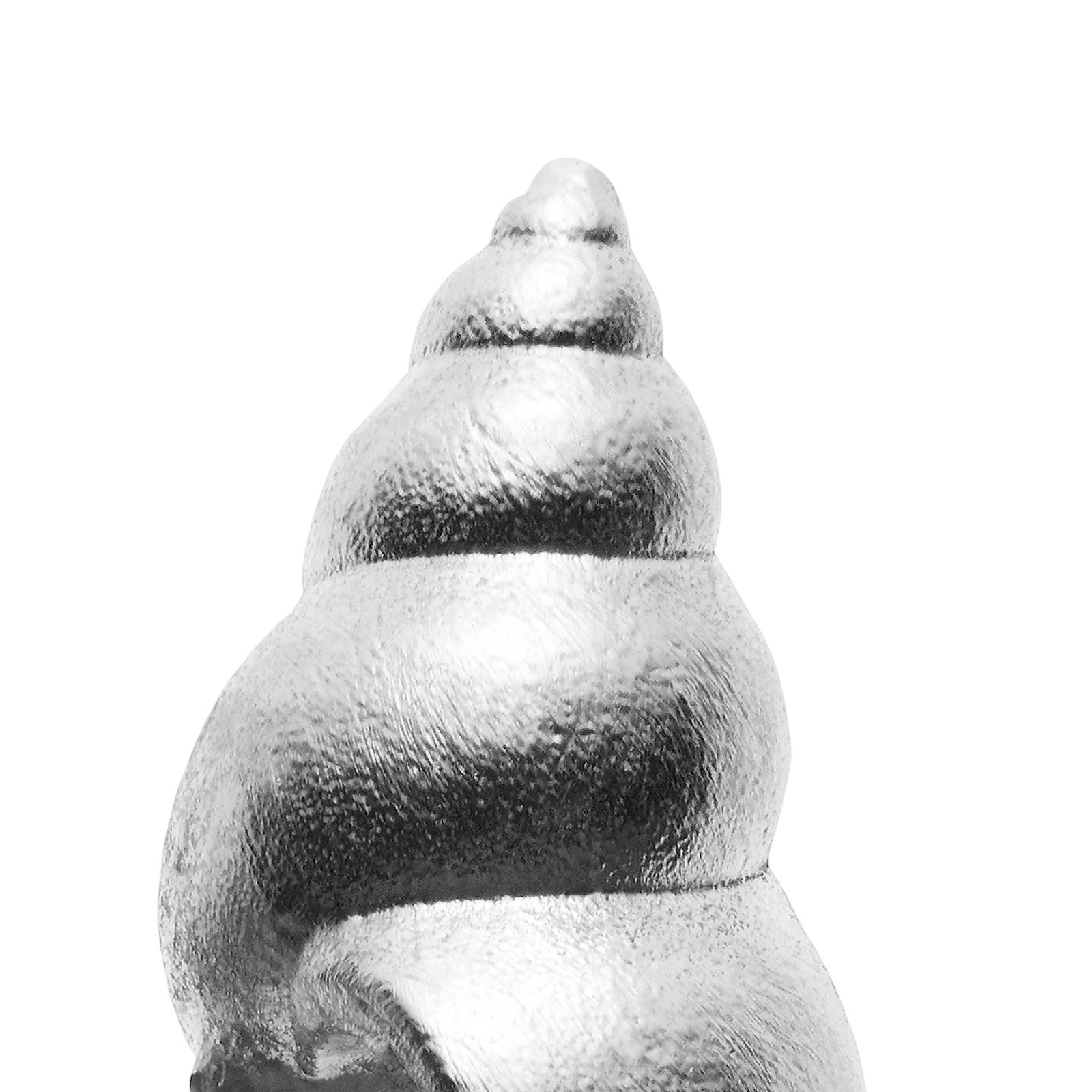 Boucles d'oreilles argent escargot