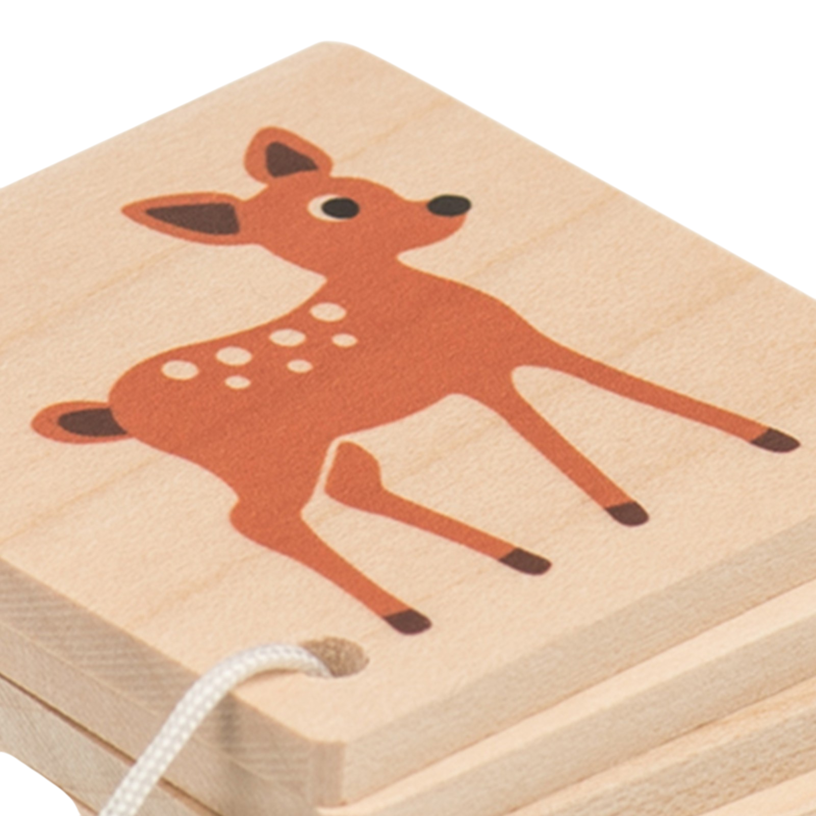 Wooden booklet forest