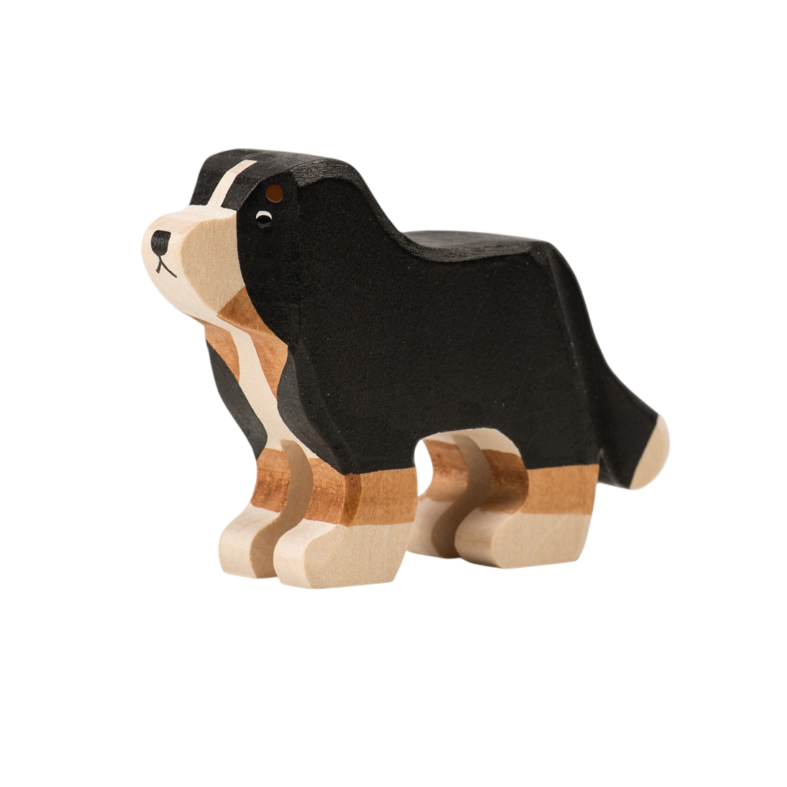 Trauffer Bernersenn grand