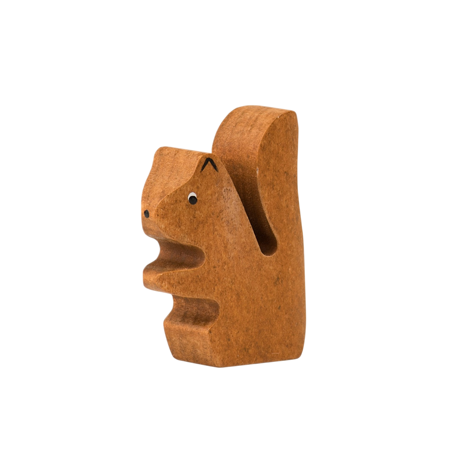 Trauffer Eichhörnchen