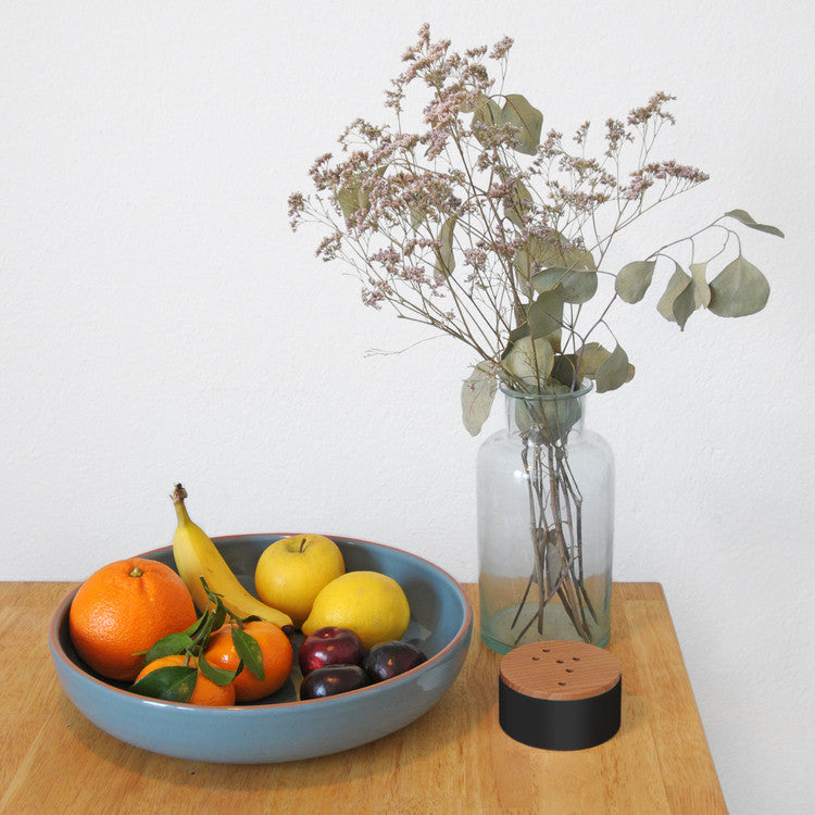 Fly heaven I black fruit fly trap