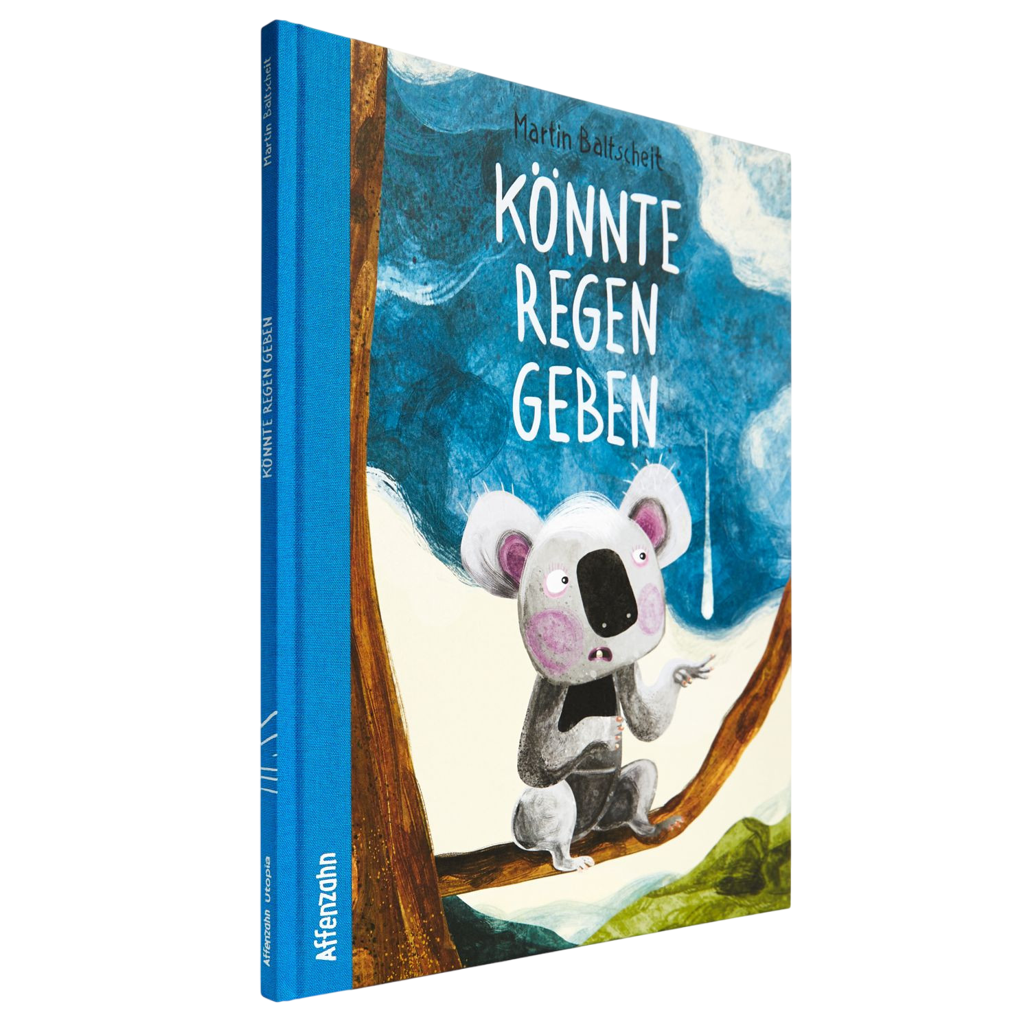 Picture book "Could be rain"