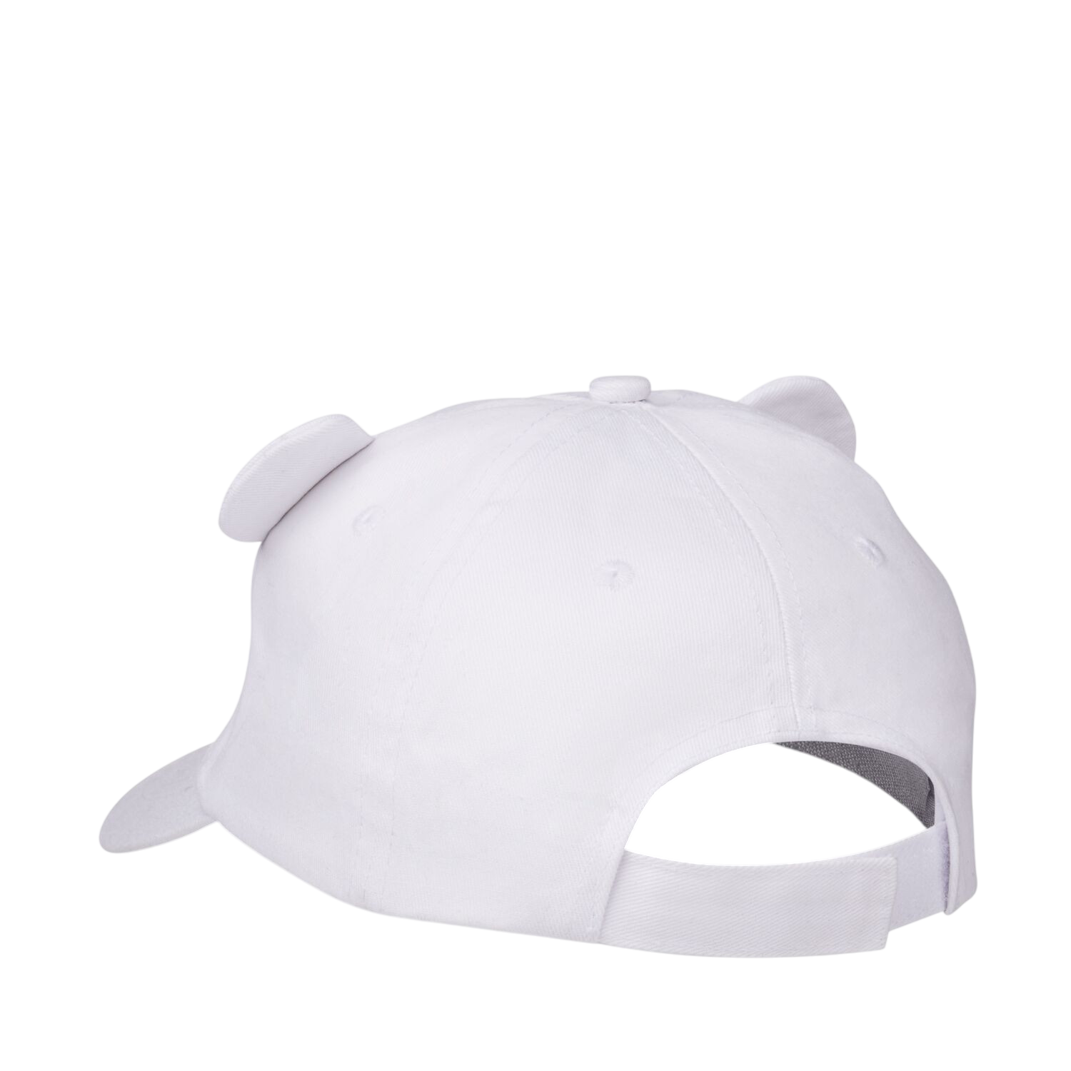 Cap polar bear