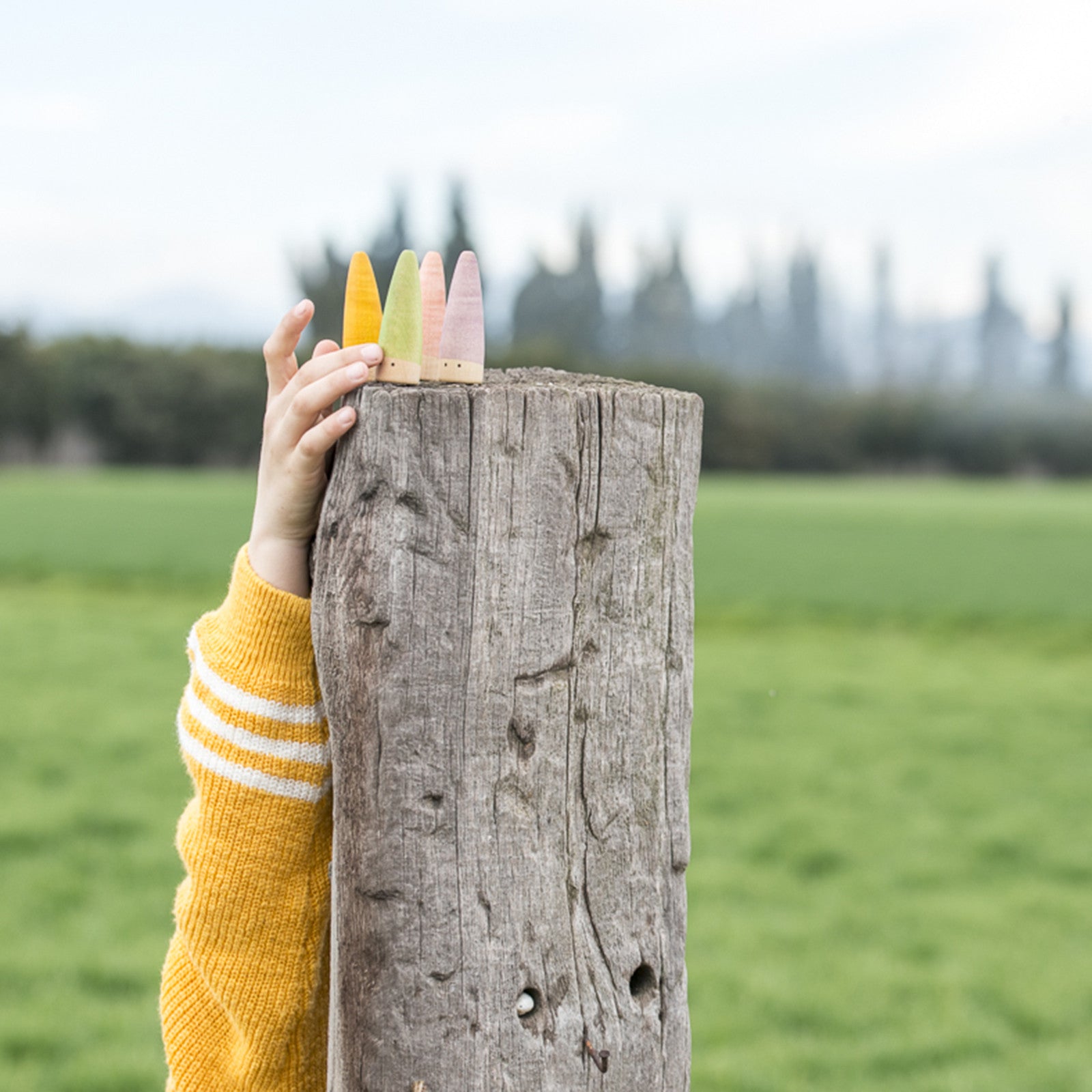 Wooden figure sticks 18 pieces Grapat