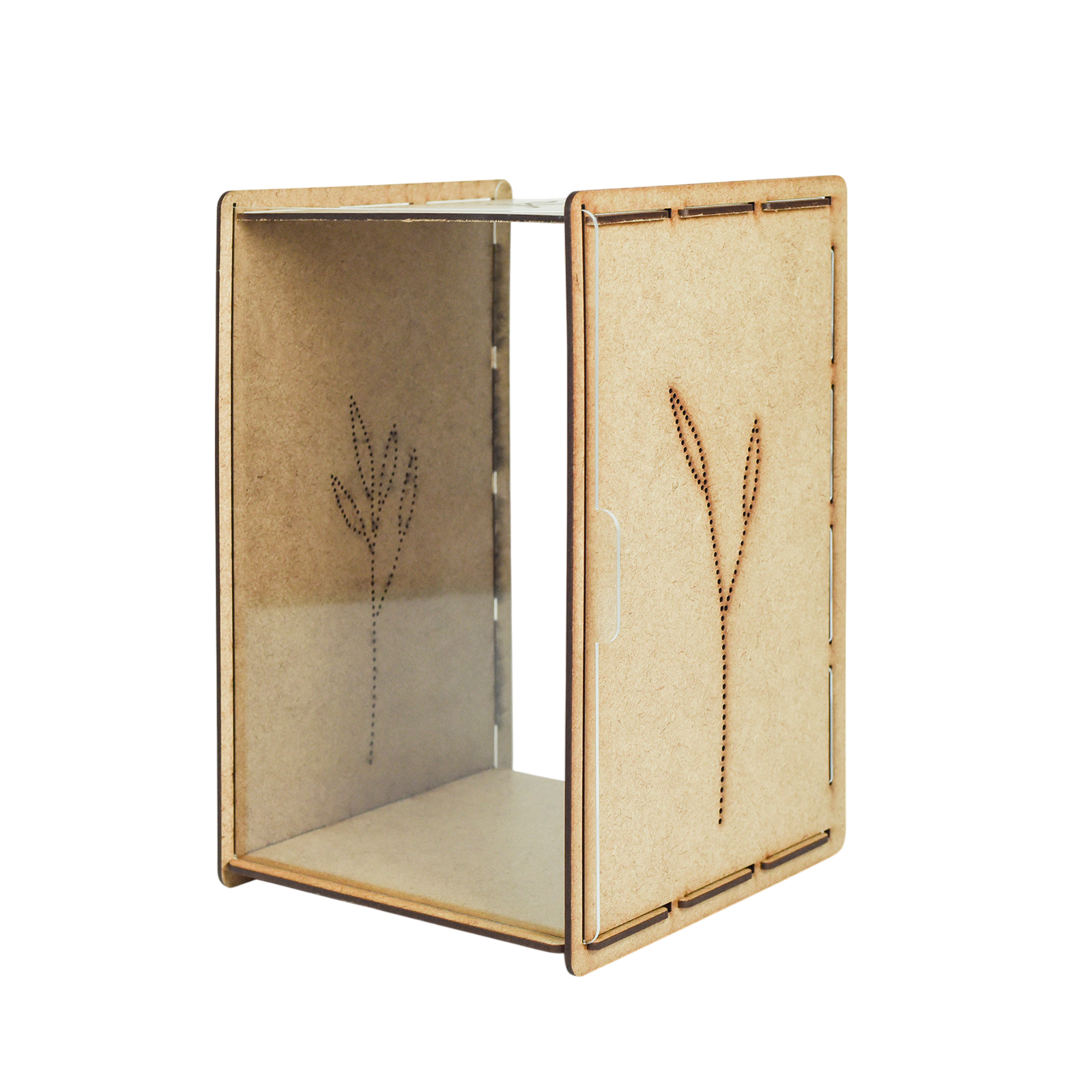 Caterpillar box / butterfly box