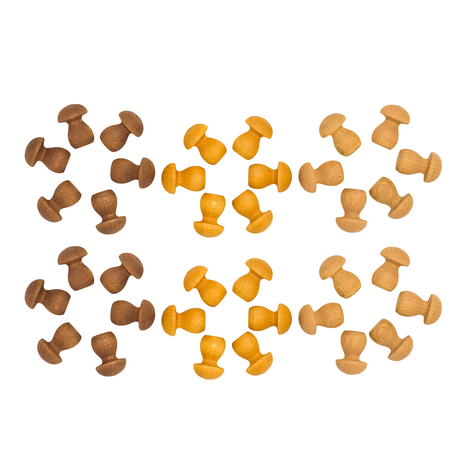 Mandala 36 Mushrooms Grapat