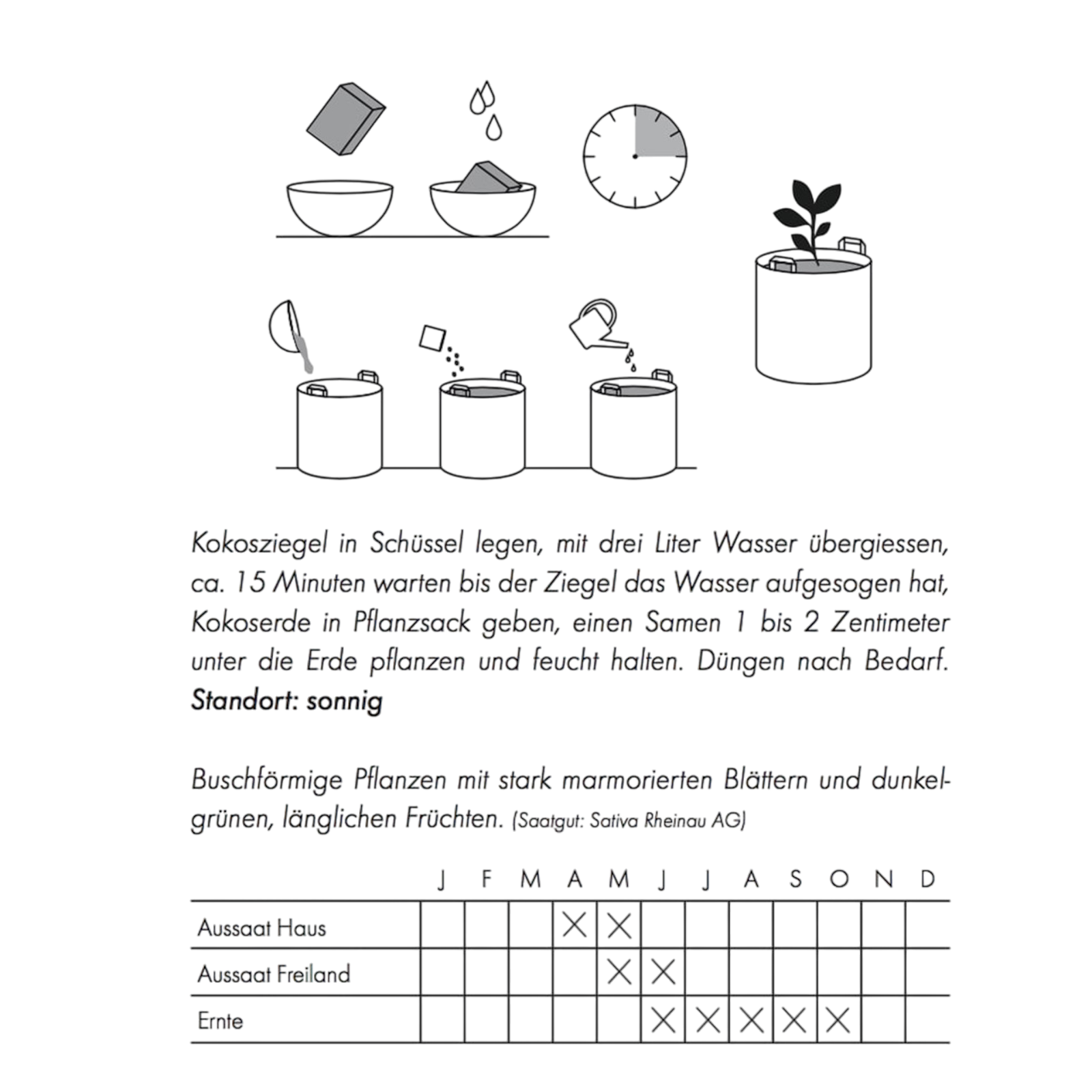 Zucchetti planting bag