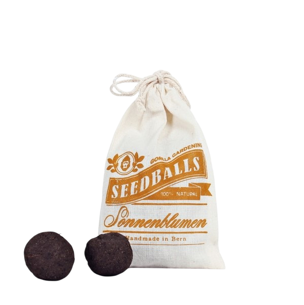 Seedballs sunflowers