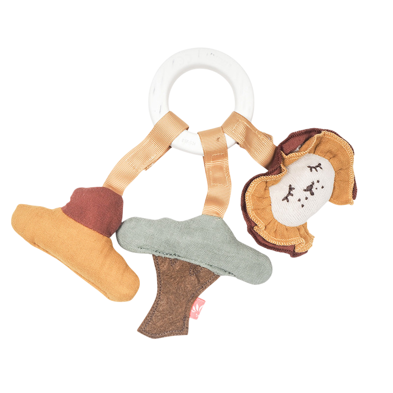 Beissring Löwe Sonnenuntergang