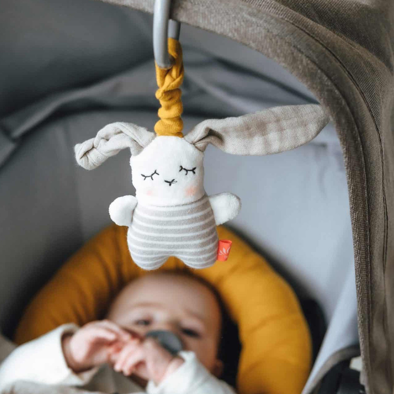 Minimobile rabbit with whistler