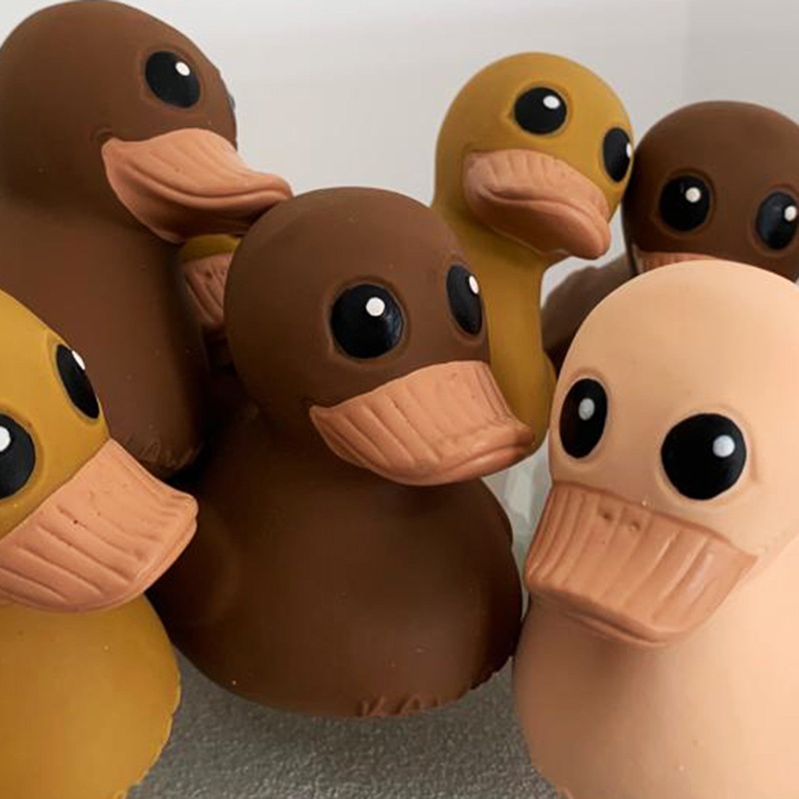 Baby Kawan mini rubber duck choco latte