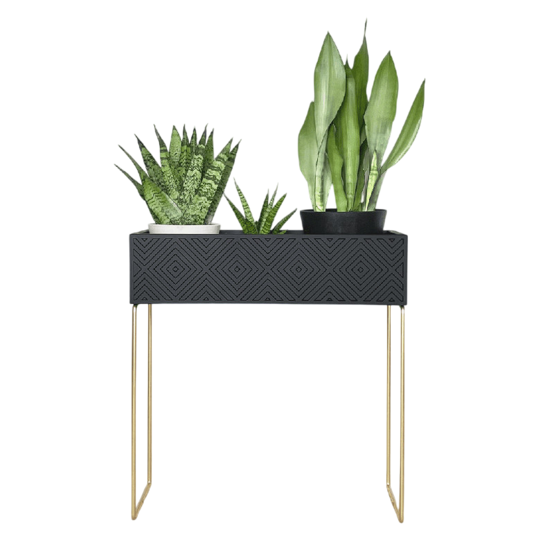 Nevi the plantbox Schwarz, Gold L