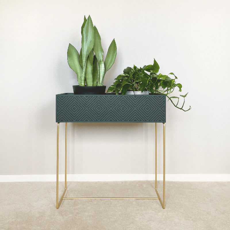 Nevi the plantbox fir green, gold L