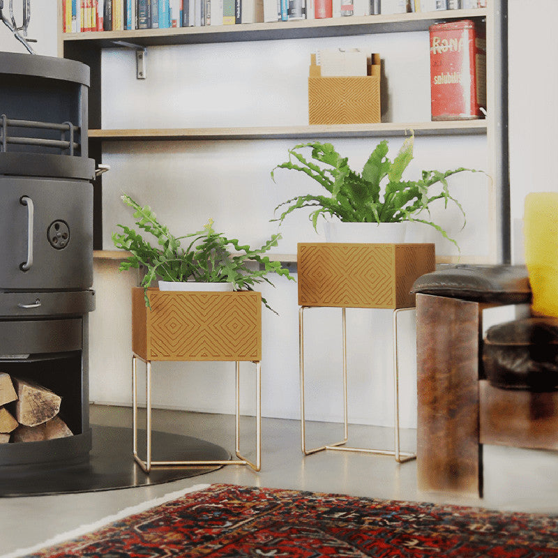 Nevi the plantbox jaune moutarde, or M