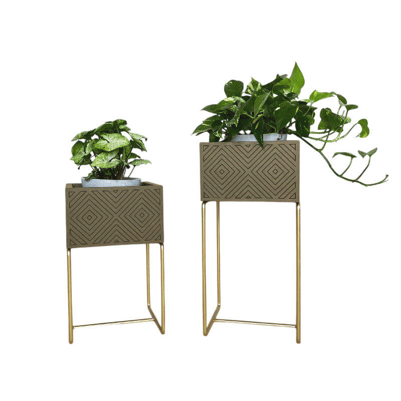 Nevi the plantbox Olivgrün, Gold S