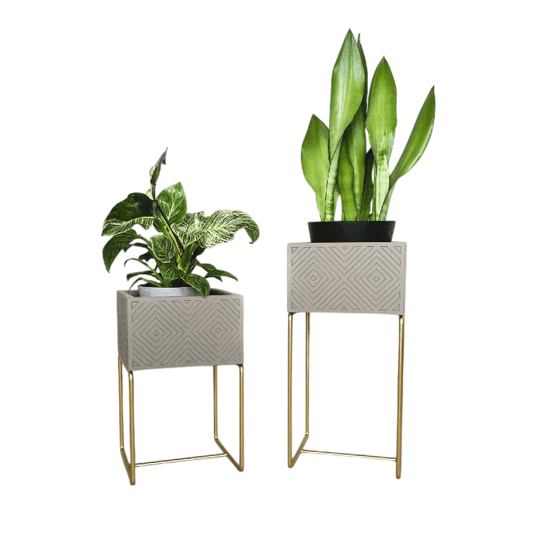 Nevi the plantbox sand gray, gold S