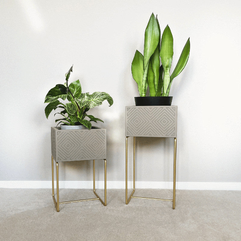 Nevi the plantbox Sandgrau, Gold S