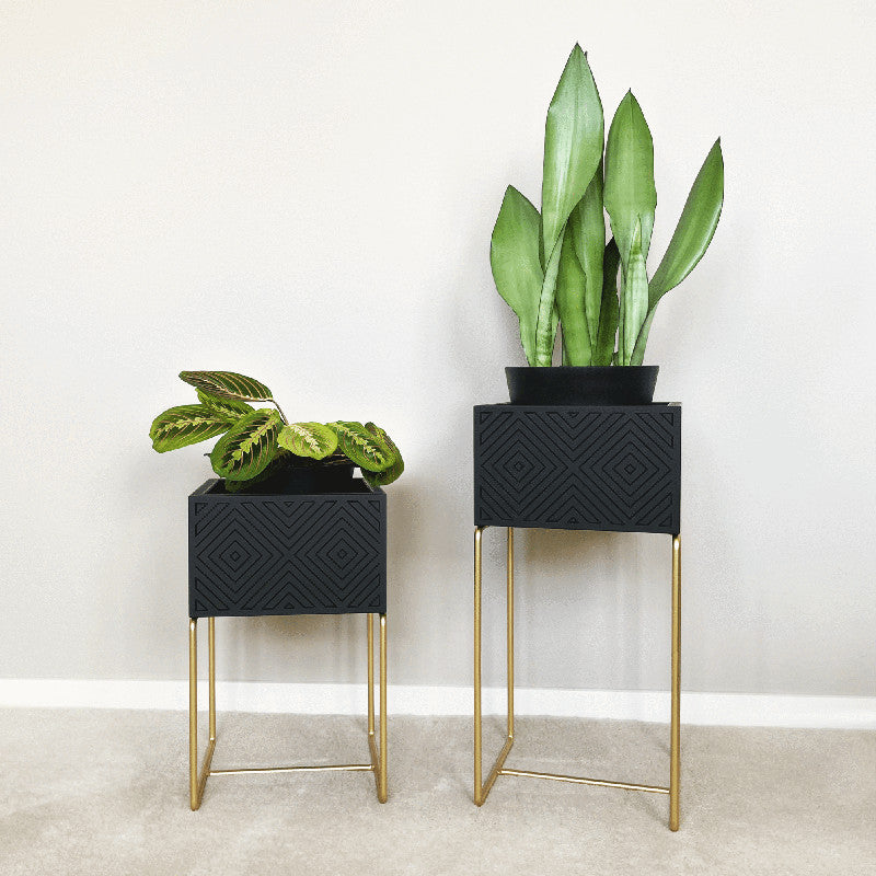 Nevi the plantbox Schwarz, Gold S