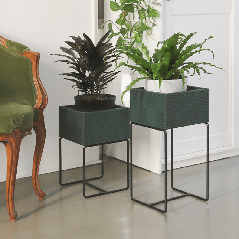 Nevi the plantbox fir green, black S