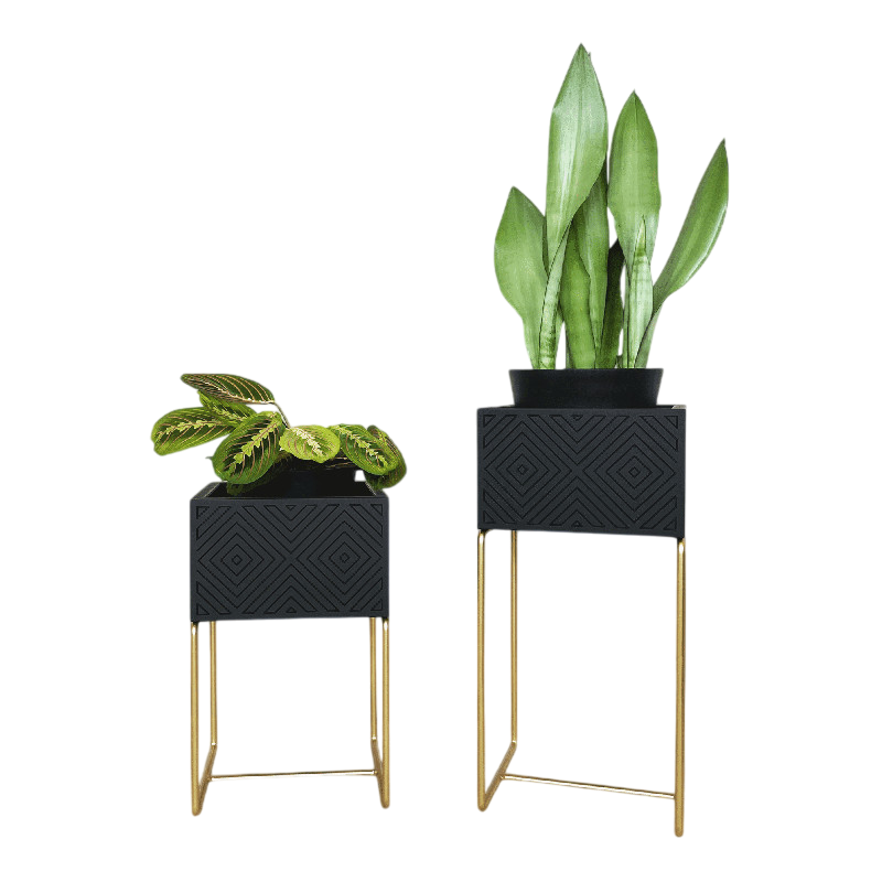 Nevi the plantbox Noir, or M