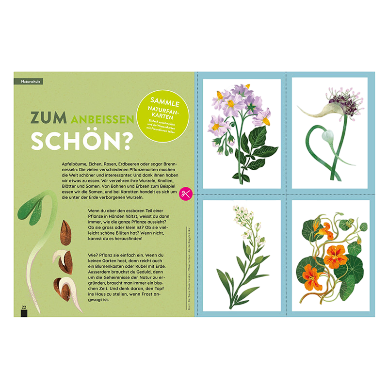 Kaléio n° 3 : Terre, I love you