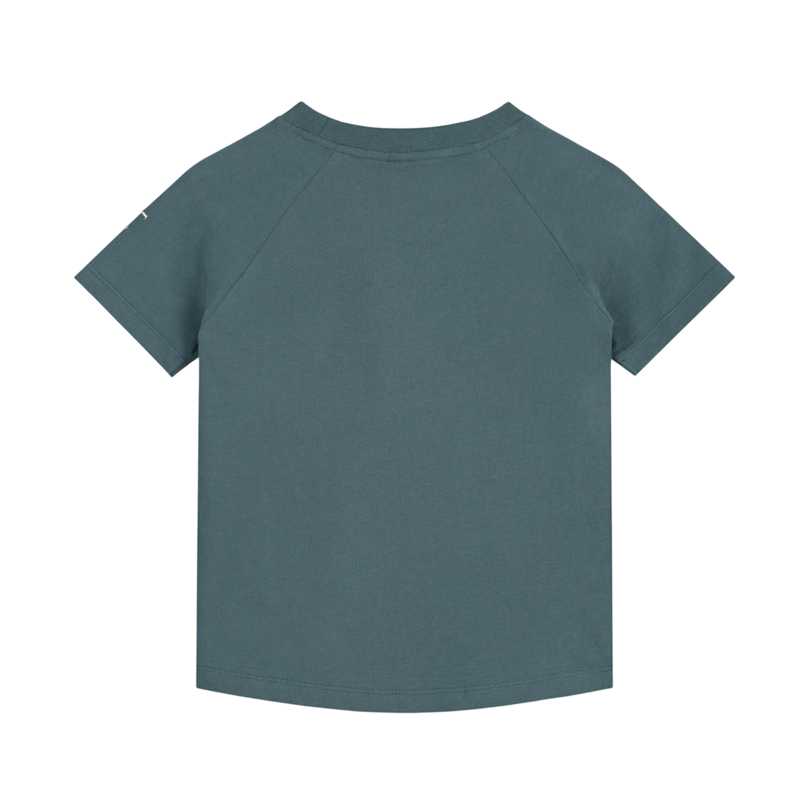 T-shirt Blue Grey