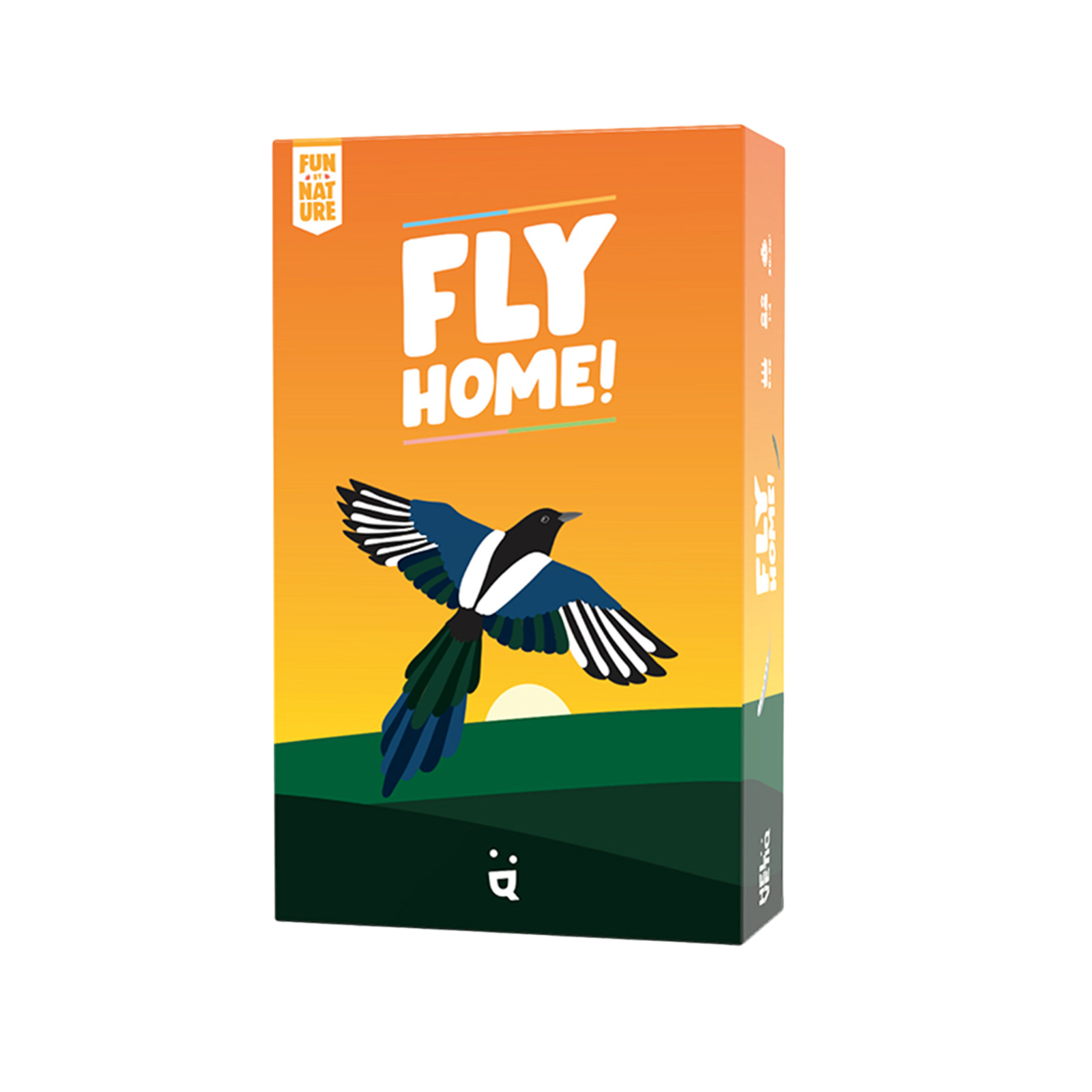 Play Fly Home!