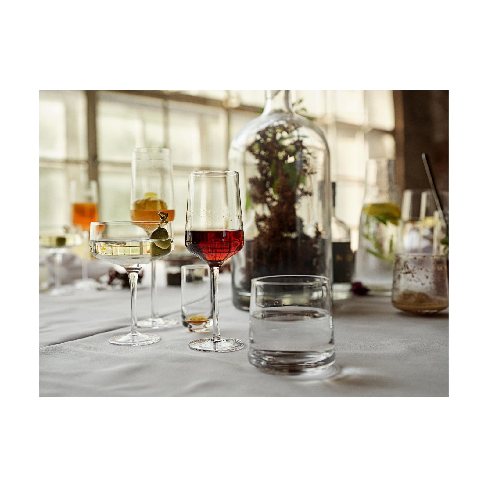 Champagnerglas Rocks 230 ml, 2 Stück, Transparent