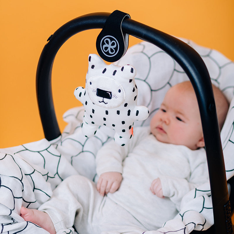 Clips magnétiques réfléchissants noirs