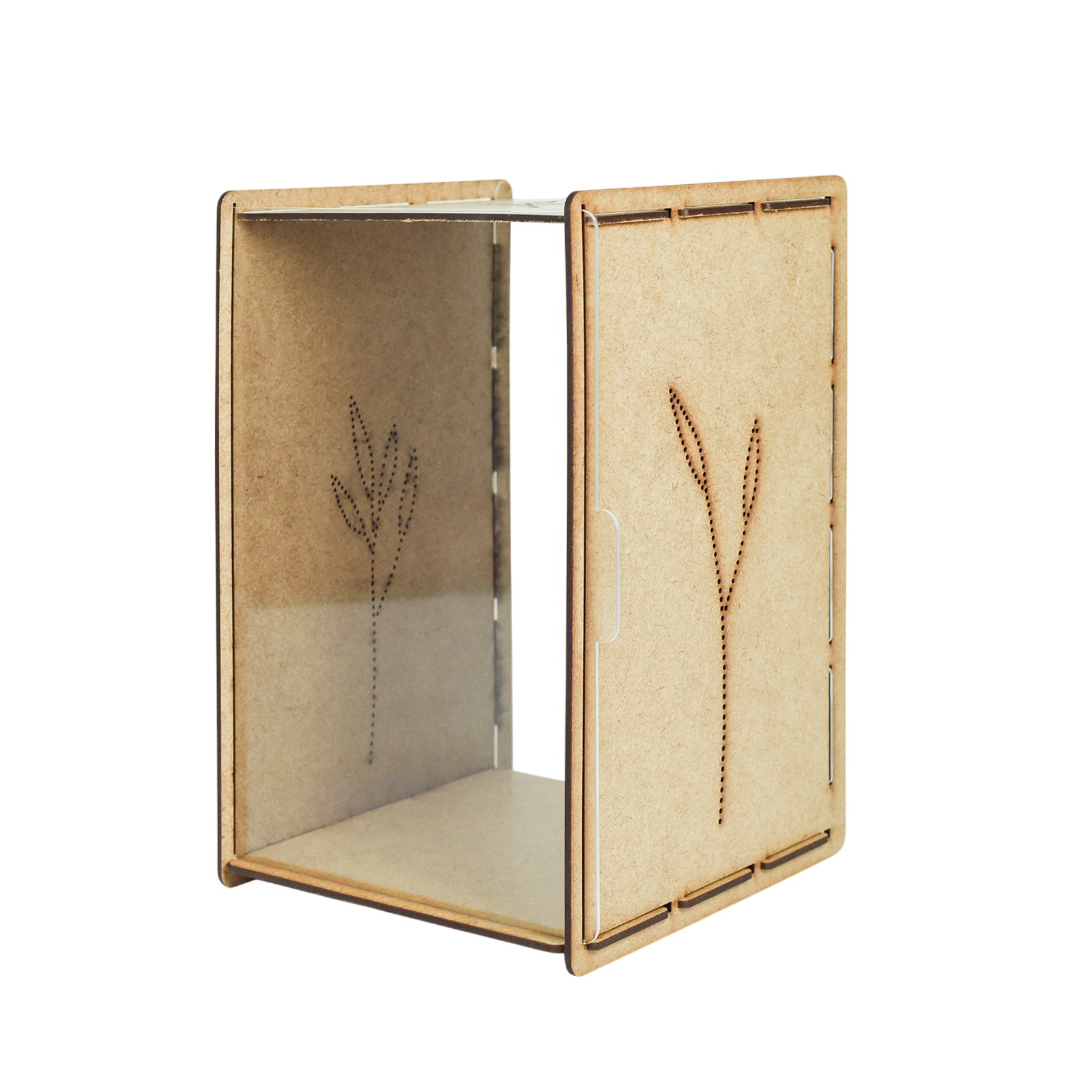 Caterpillar box / butterfly box French version