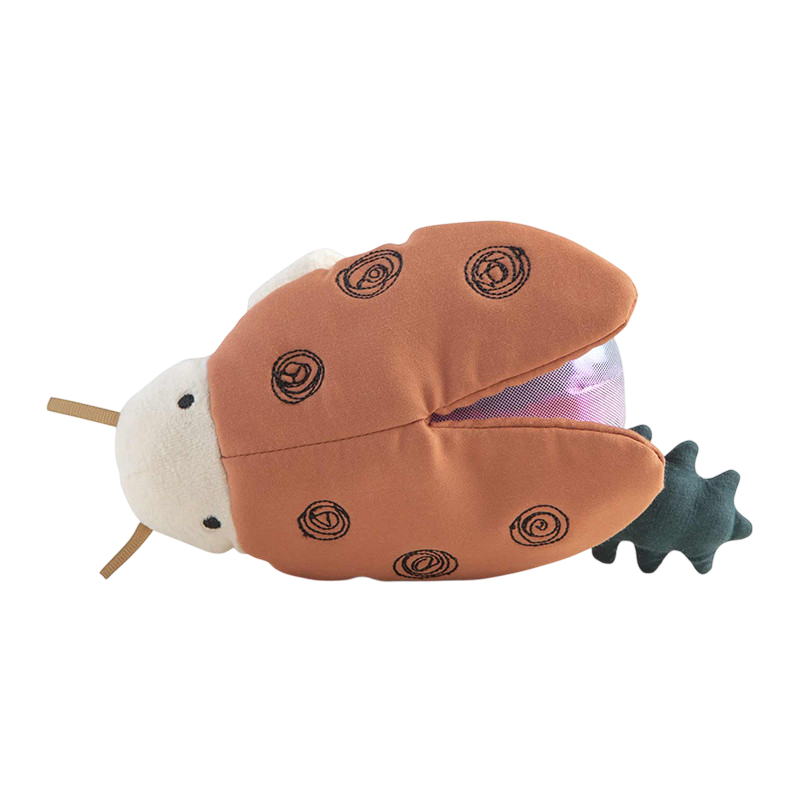 Spieluhr, Marienkäfer