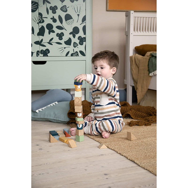 Blocs de construction en bois pour la découverte, Wildlife animals