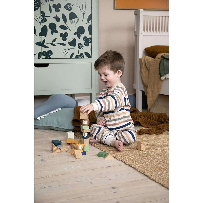 Blocs de construction en bois pour la découverte, Wildlife animals