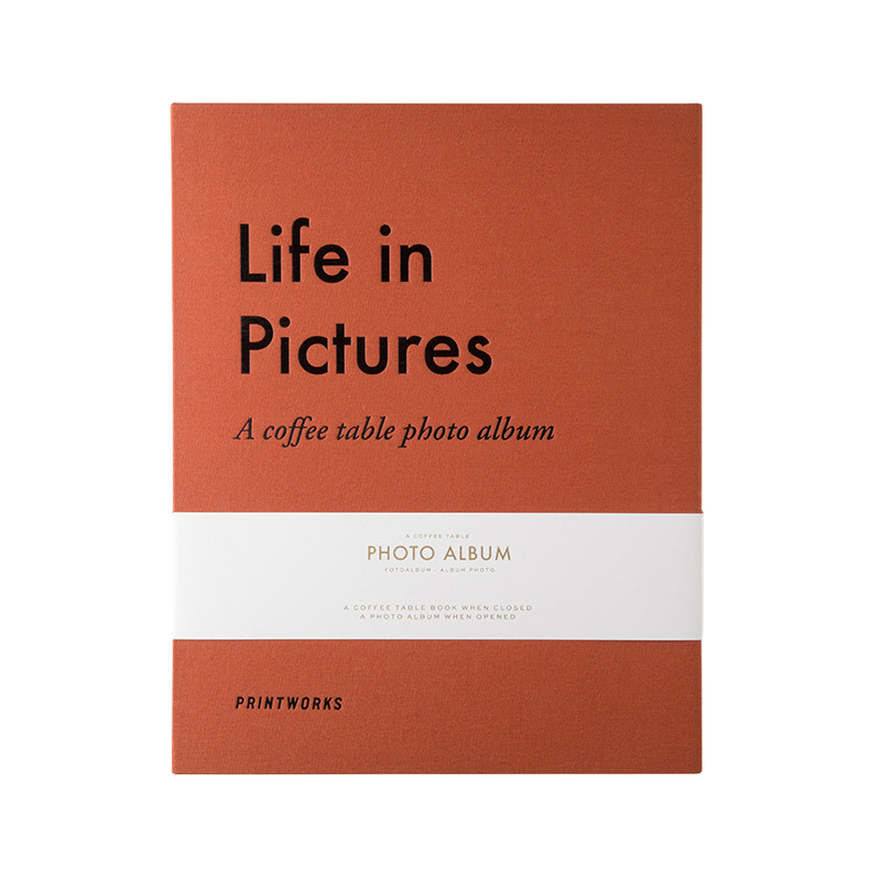 Album Life in Pictures