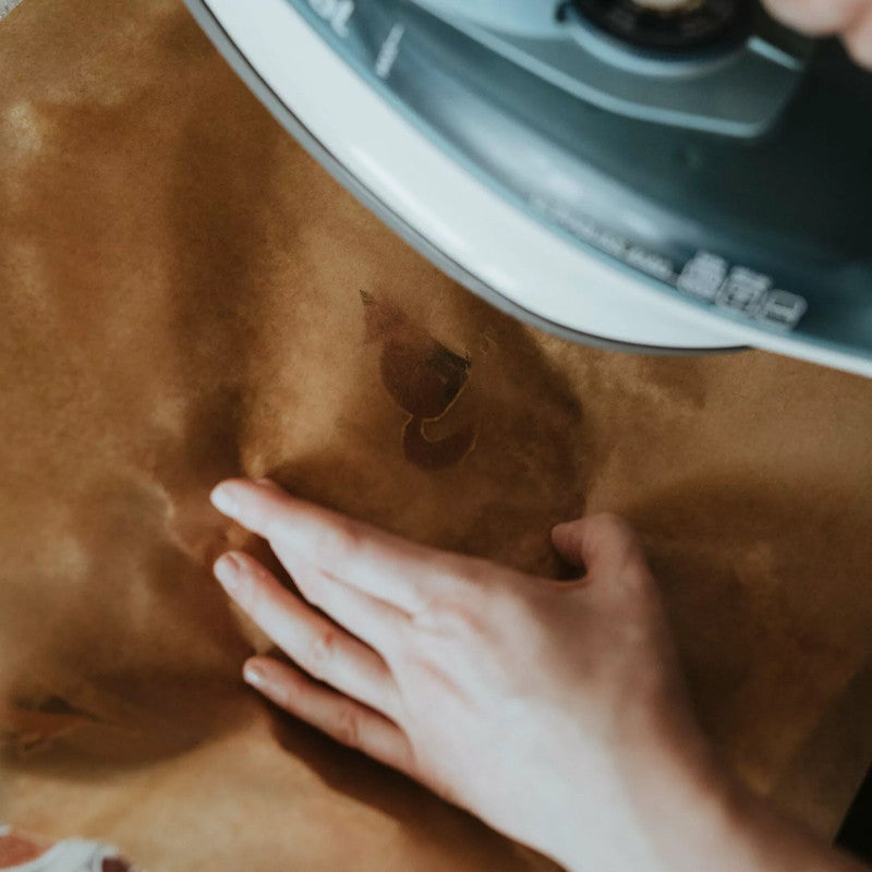 Images à repasser Ours