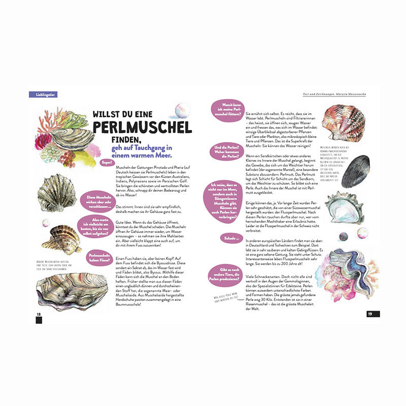 Kaleio No. 12: Wealth