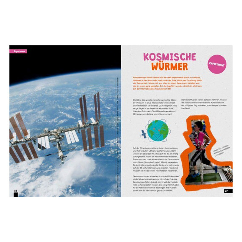 Kaleio Nr. 13 Greif nach den Sternen