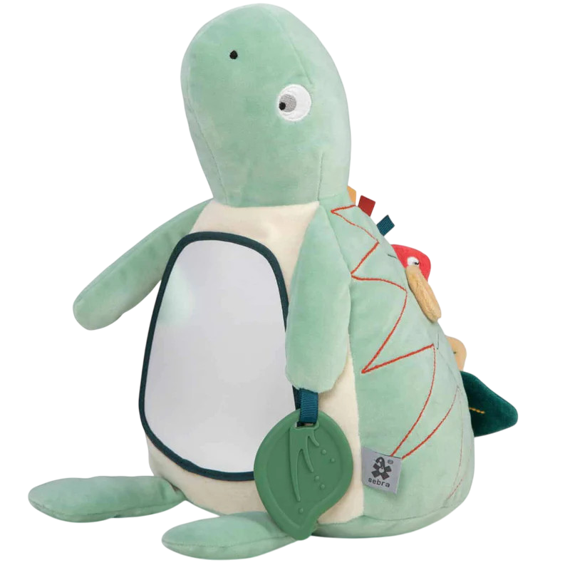 Aktivitätsspielzeug Schildkröte Turbo Grün