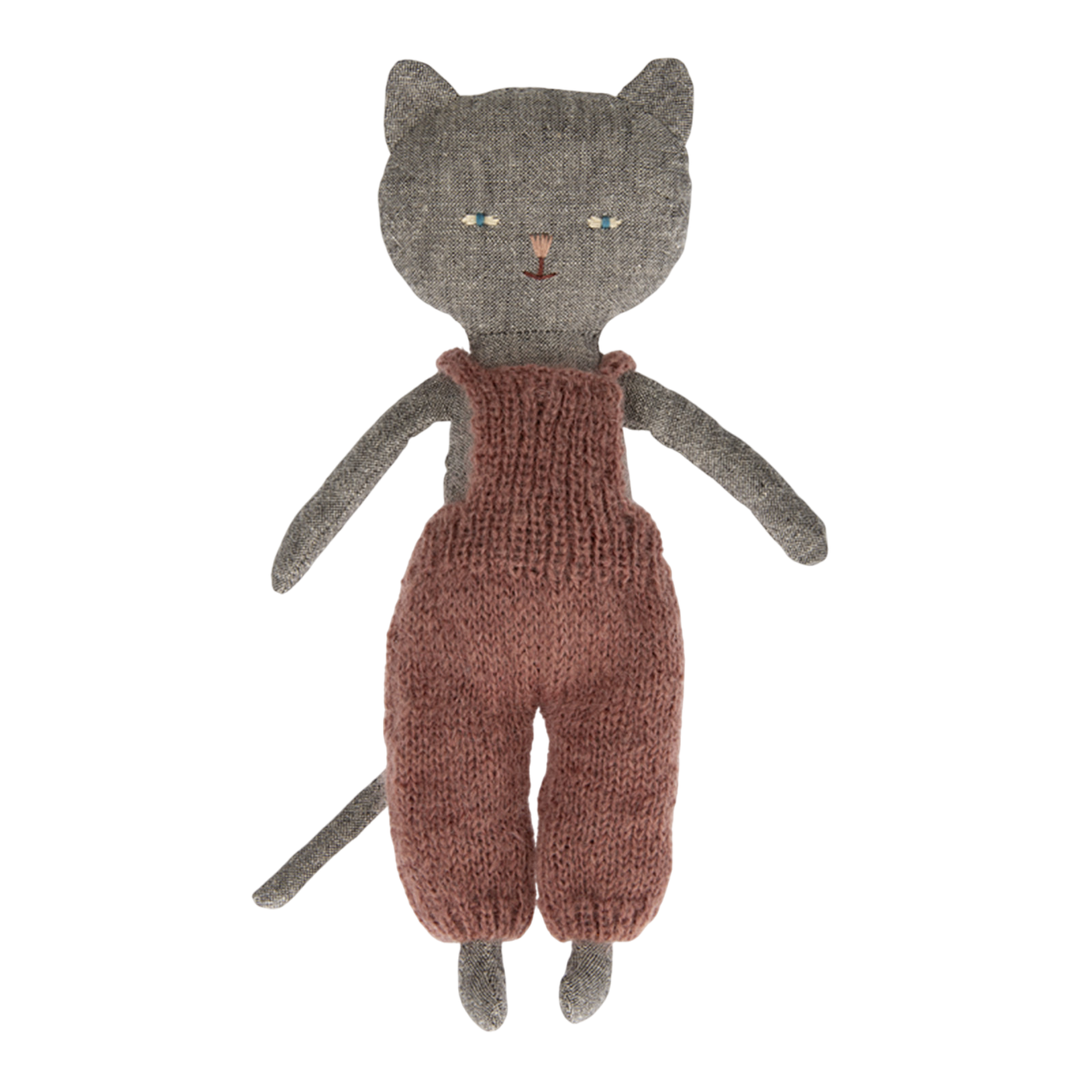 Kitten Chatons Mimi Gray