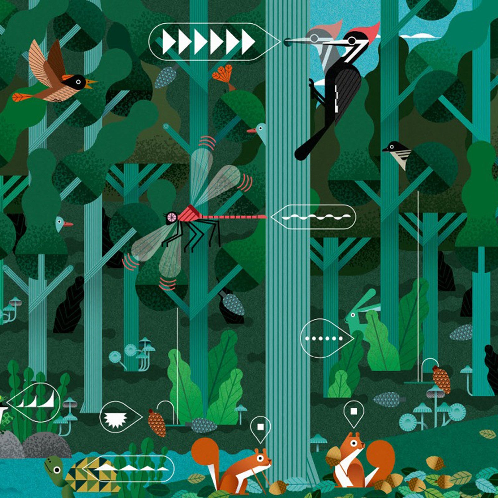 Buch: Klang, Helvetiq