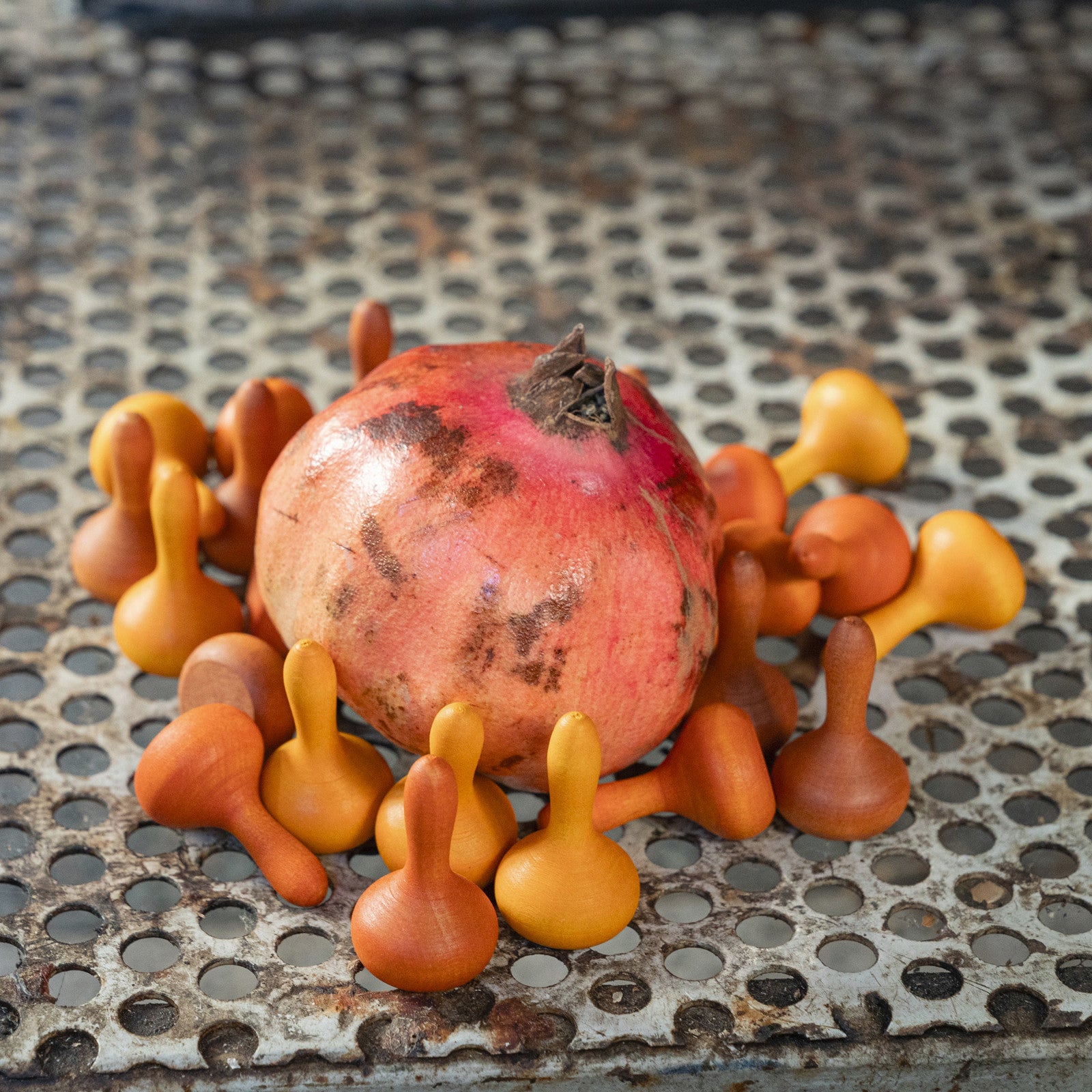 Mandala 36 citrouilles Grapat